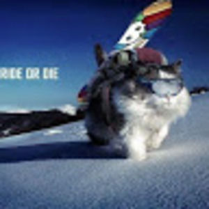 Meet your Posher, Jonas